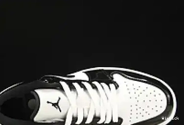 DV1309-100 Jordan Low Concord 1 SE 0419